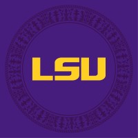LSU Information Technology Services